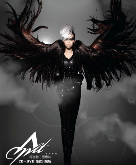 张惠妹：阿密特世界巡回演唱会