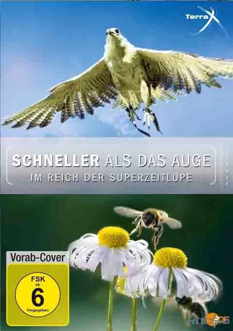 超慢动作下的世界