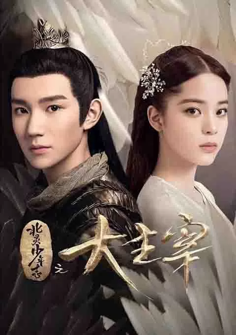 北灵少年志之大主宰