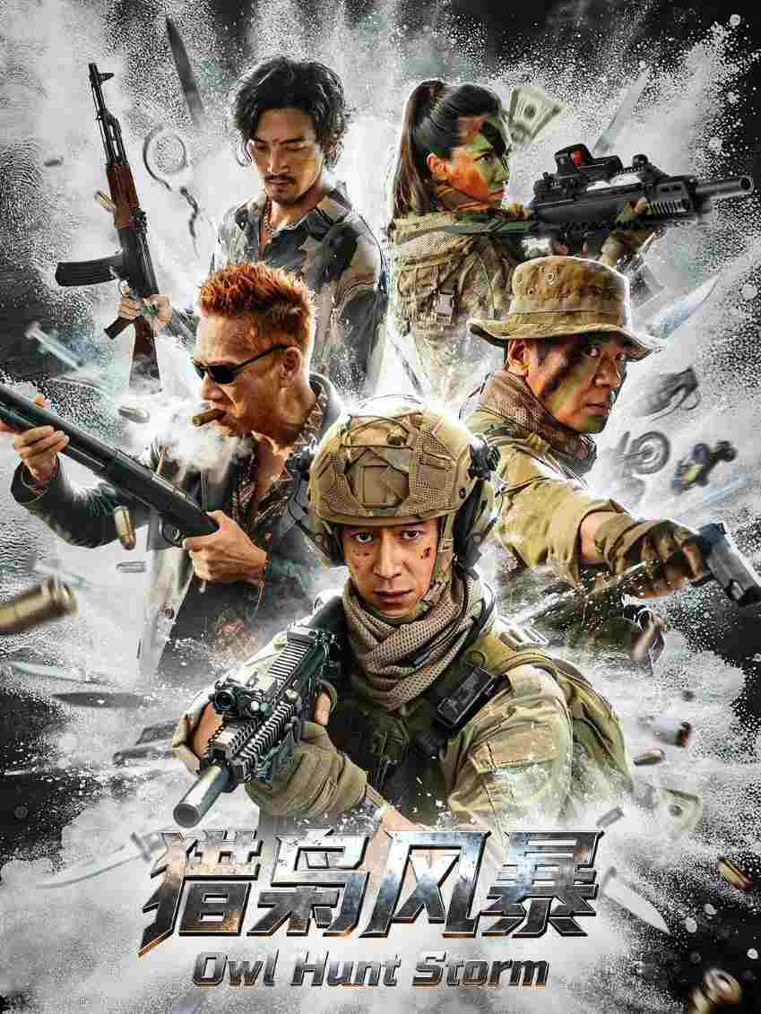 猎枭风暴